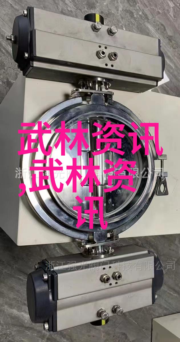 揭秘太极桩歌诀简化24式太极拳分解教学之谜