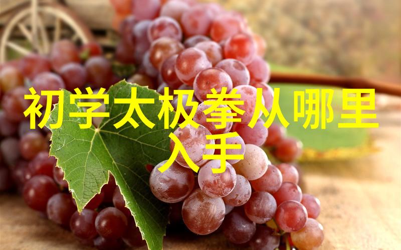 梦幻仙境女巫联盟梦幻仙境中的神秘女巫联盟