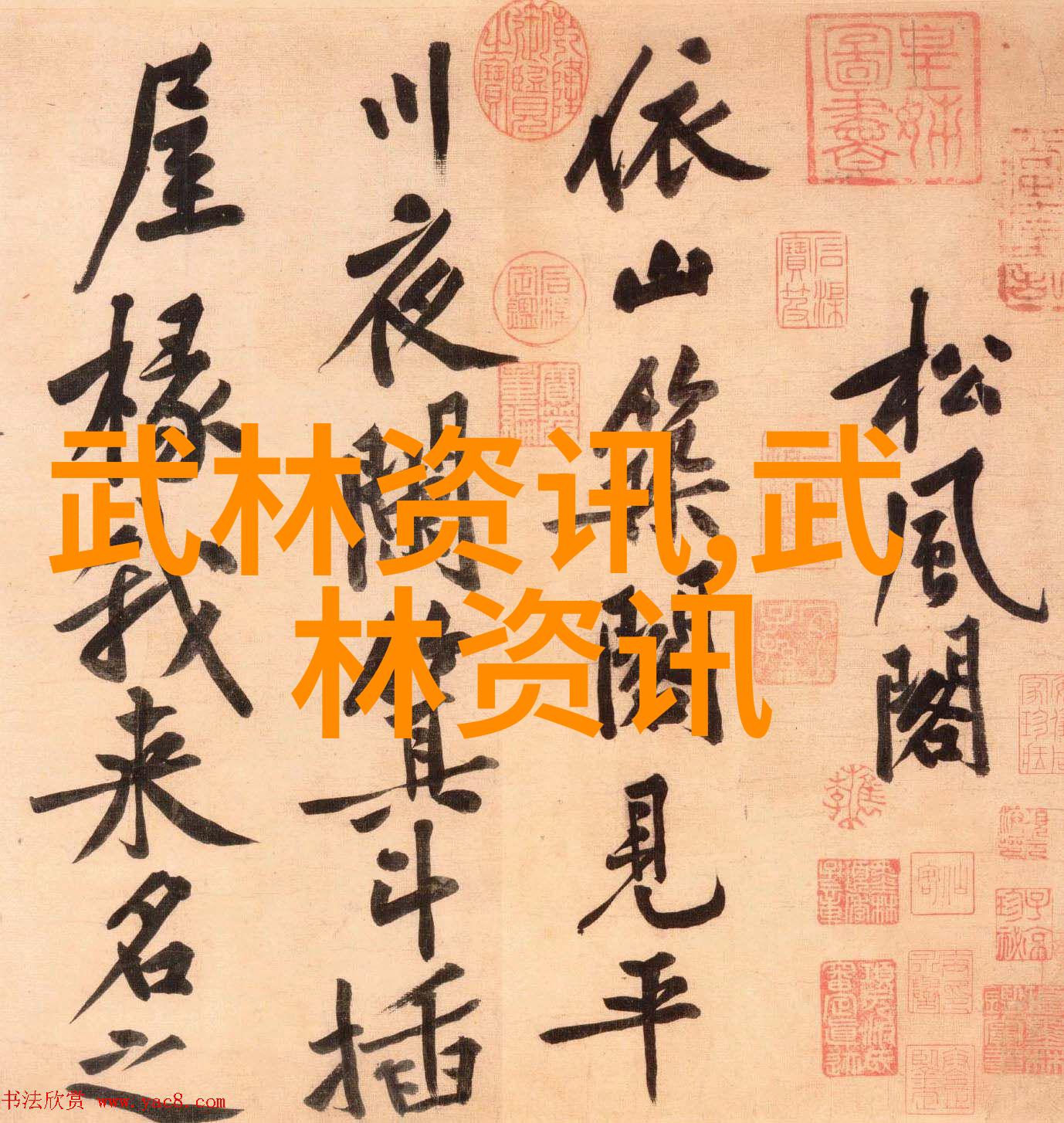 古秘拳谱济宁查拳寻踪江湖中的绝技