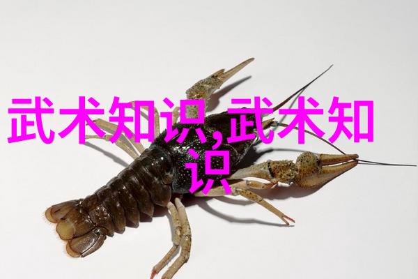 武功秘籍从凡人到圣手的逆袭之旅