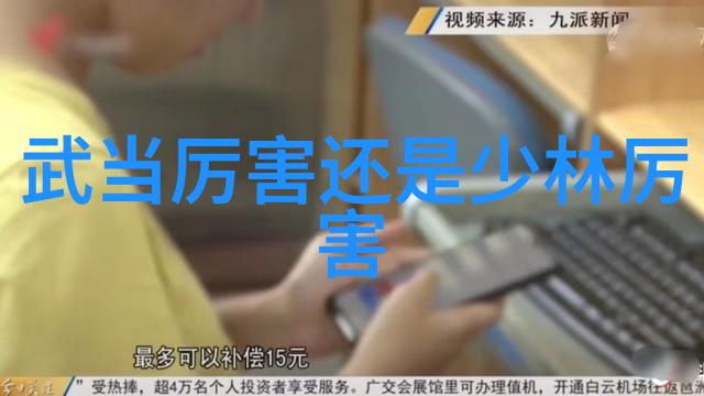 从散打到太极从跆拳到少林全球武术交流大会