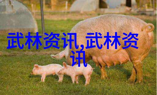 难道不是太极拳24式每一式图解视频让松得开合得住吗