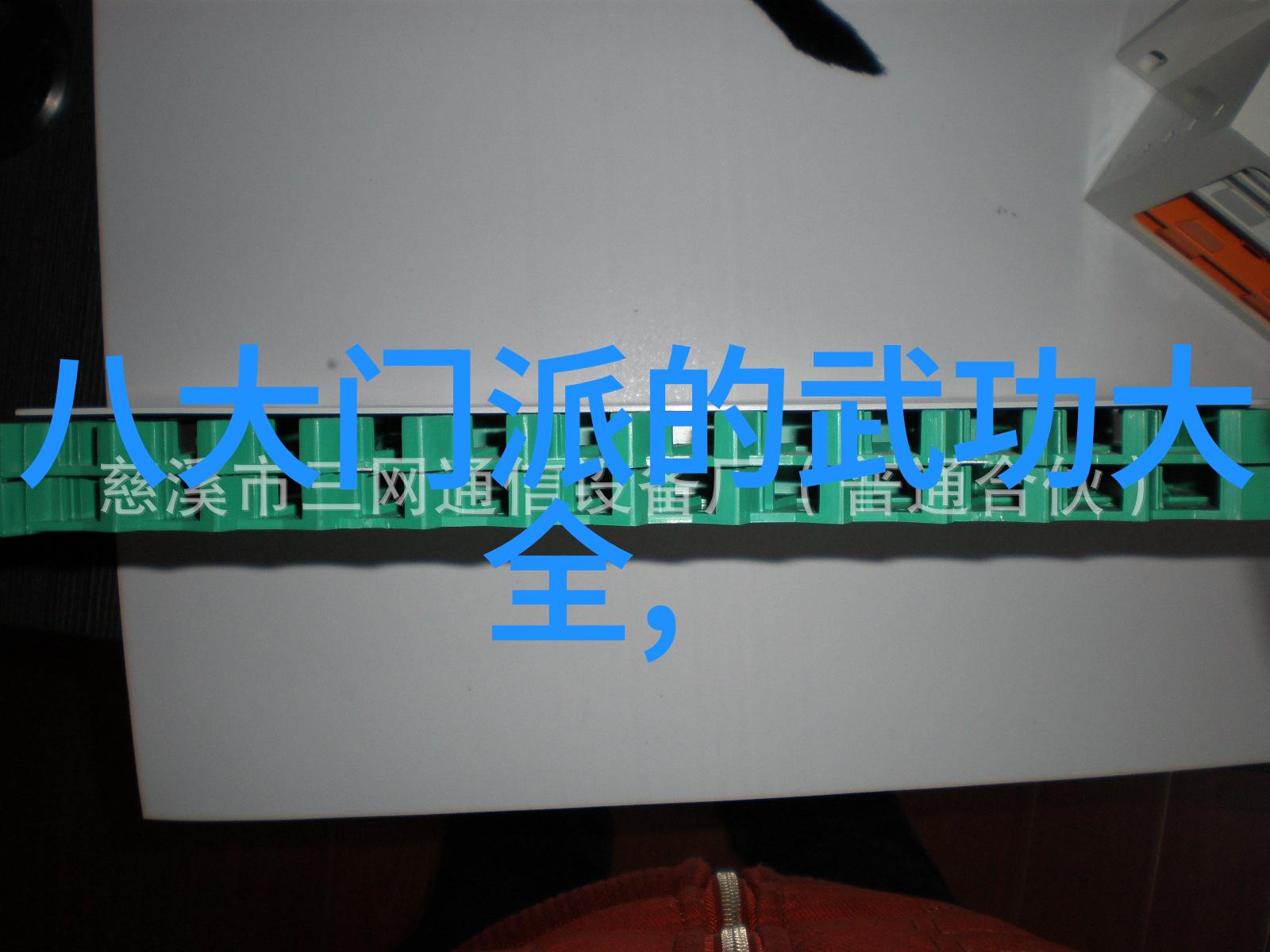 未来武术之路展望现代门派发展的新方向和挑战