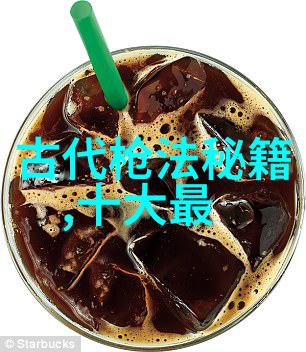 武林秘籍图解揭秘古今武学招式全集