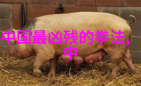 形意拳的天敌揭秘最为难对付的对手技巧