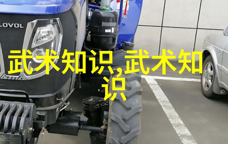 武术探秘-悟道中华武功从基础练习到内力修炼