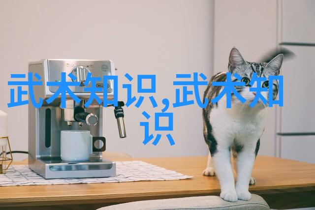 如何有效地结合内外力来提升移动速度