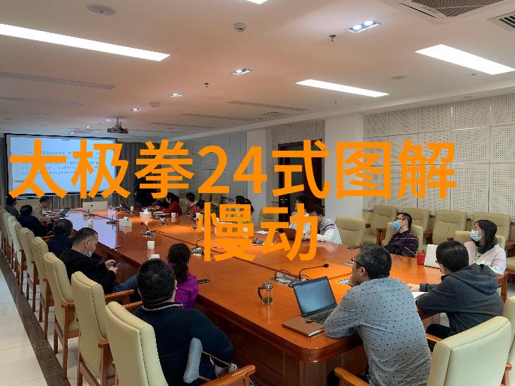 武功秘籍大全练太极接地气反复放静电以身健康为拳法