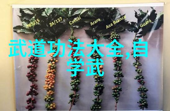 秘传身法修炼内力之道