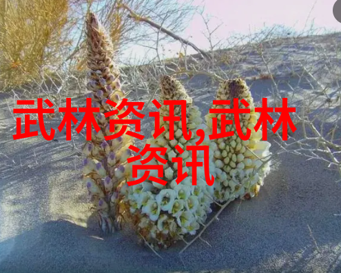 幻想盟约古韵之冠