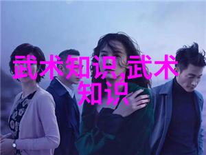 嵩山少林寺中国武术的巅峰之作如同一棵参天大树根深叶茂历经风霜而屹立