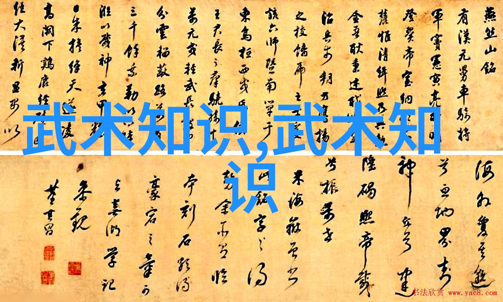 太极拳24式一步一步的教 - 探索古老内功之谜