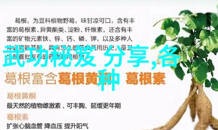揭秘康复之家医疗器械波速球减脂神技等你解锁