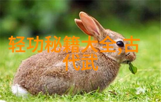 太极拳24式精髓解析揭秘每一式的内在意境与实践技巧
