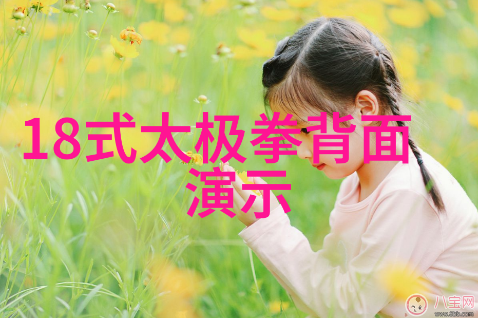 武林八大派绵拳门派拳种考察