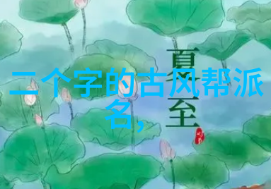 中国拳法有几种我告诉你中国拳法可是好几种呢