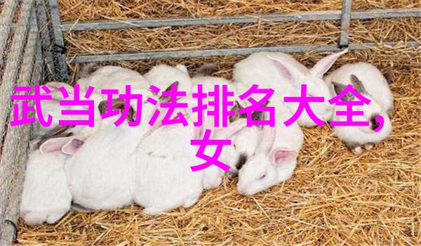 现代武侠世界中的门派兴衰与变迁