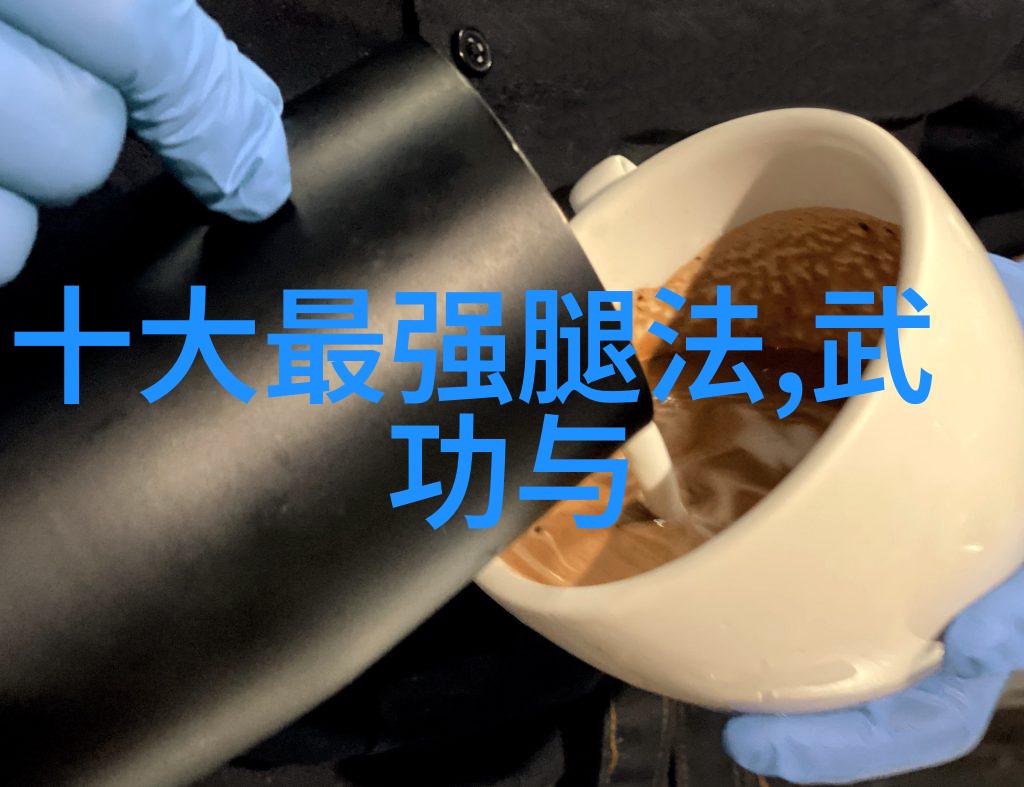 中国拳法有几种揭秘中华武术的多样面貌