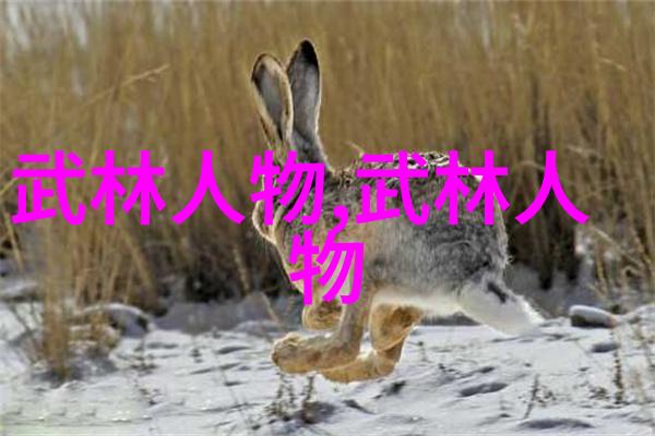 武林八大派汇聚之极拳盛会