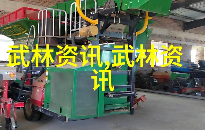 武林绝学秘籍解密功夫修炼的精髓与技巧