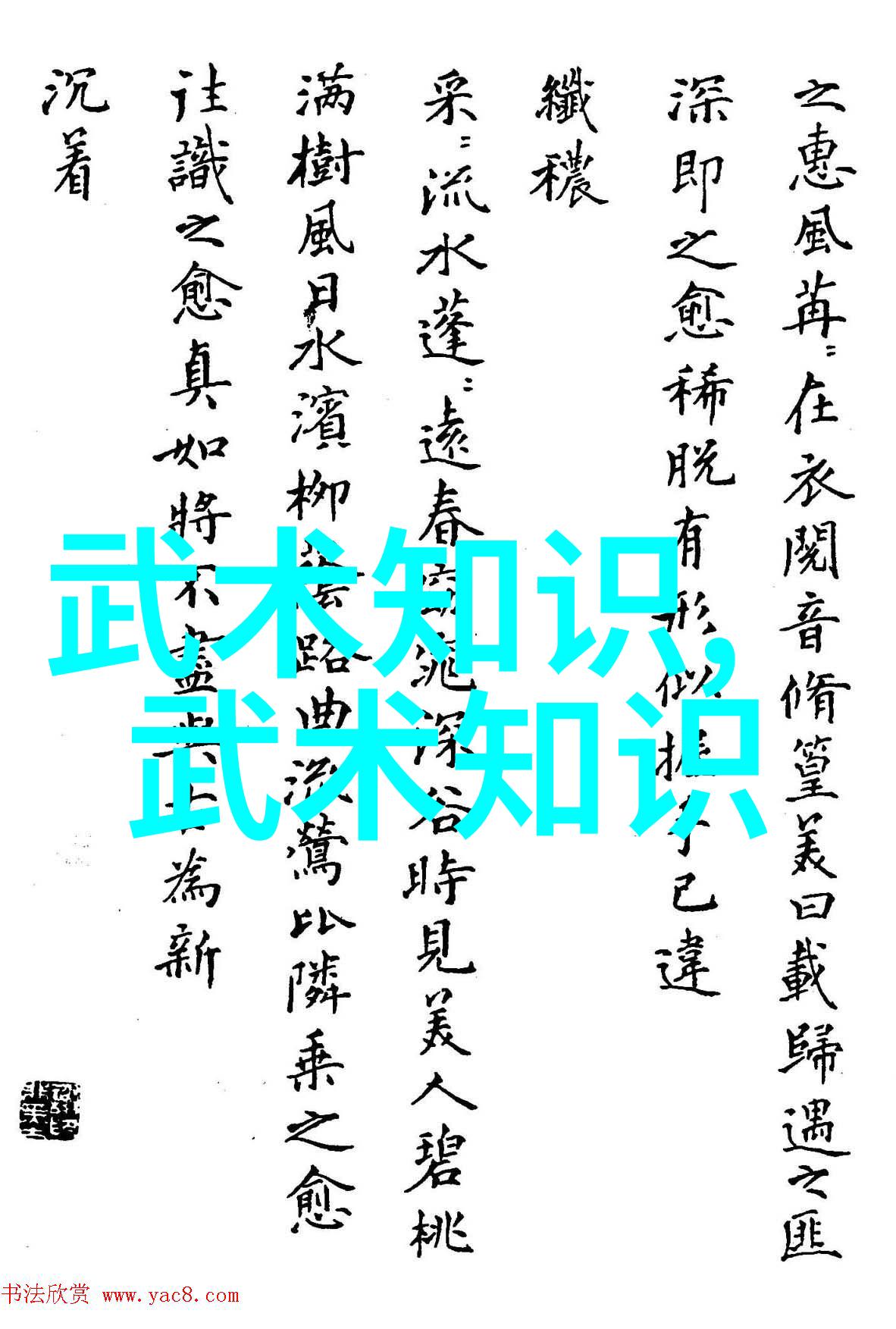 探索中华武学之路修炼中国武功的艺术与方法