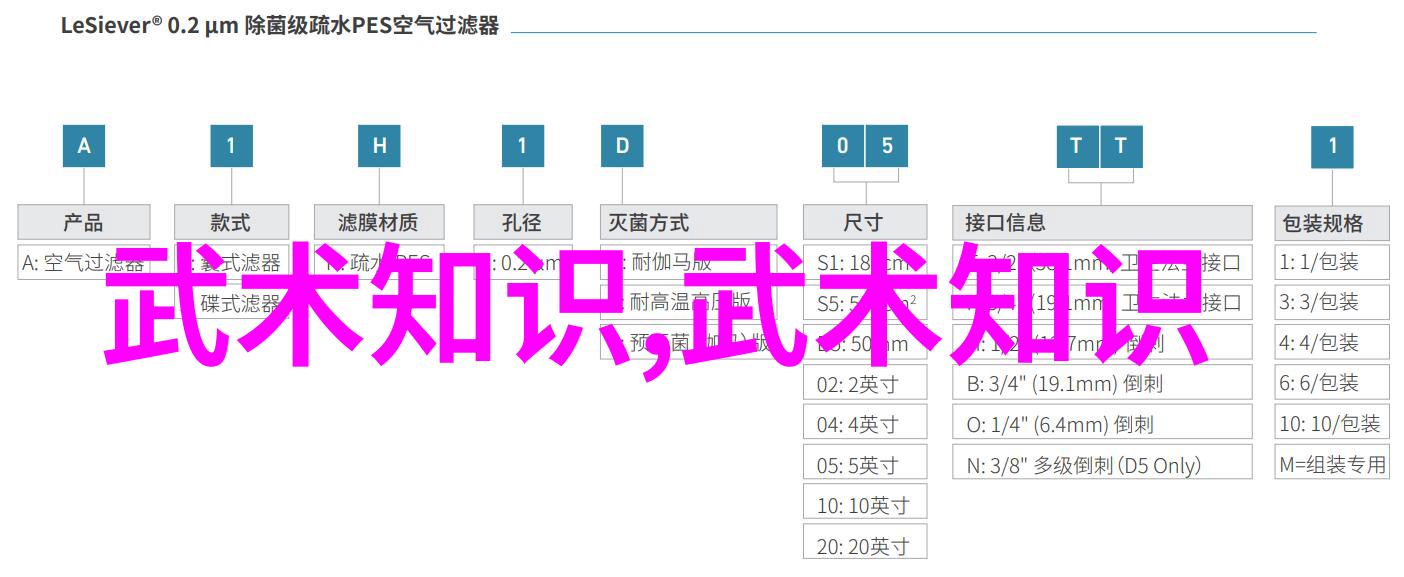 八三年武术事件启示如何让太极拳推手与防身技巧达至巅峰