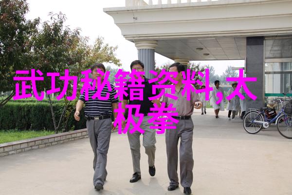 中国武术-探索中华武林揭秘中国最著名的十大武术流派