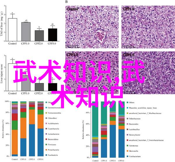 古风势力龙腾云辉之盟