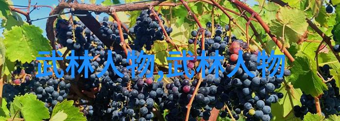 简易24式太极拳 - 掌握一身功深入了解简易24式太极拳的练习艺术