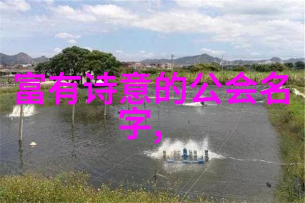 by1259为什么看不了-解密by1259看不见的原因技术难题与内容策略
