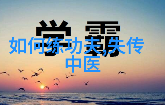 解锁邱慧芳24式太极拳全套秘籍揭秘练习之道