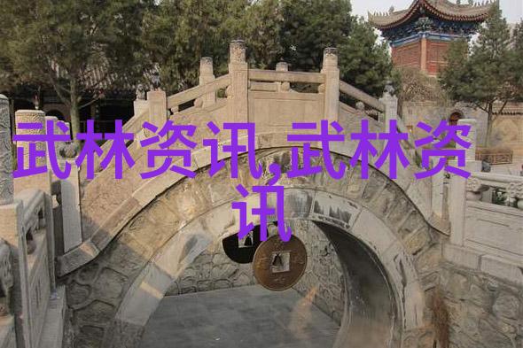 独行侠从零到英雄的武术自学之旅