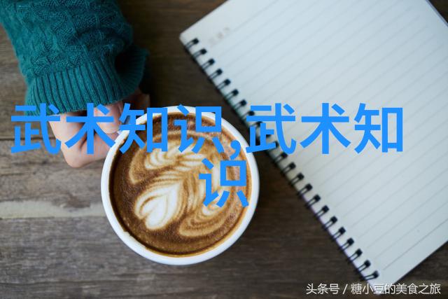 海贼王之最强副船长 - 逆风破浪追寻海贼王的绝对权力