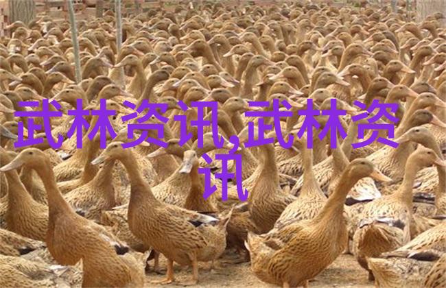 仙门门派名字大全浑圆太极拳任意拳种任意门派拳种任意