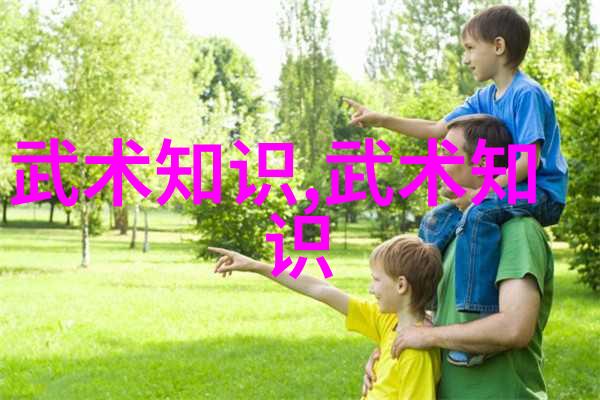 武术禁令揭秘网络上如何阻止武术内容传播
