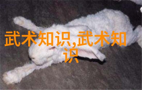 孙颖莎在乒乓球世界冠军赛场上以3比0击败波尔卡诺娃成功进入女单八强