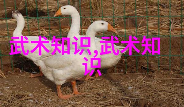 武林门派之主掌门人与江湖纷争