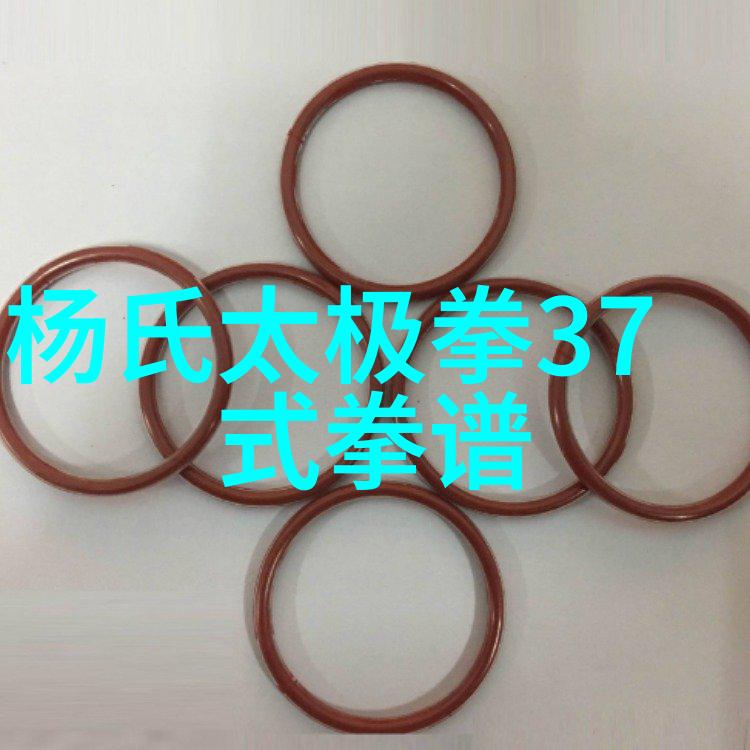 邱慧芳亲授掌握24式太极拳全套教学技巧