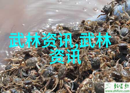武林16大门派之南派太极拳犹如江河般悠长流淌着祖传的精华与智慧