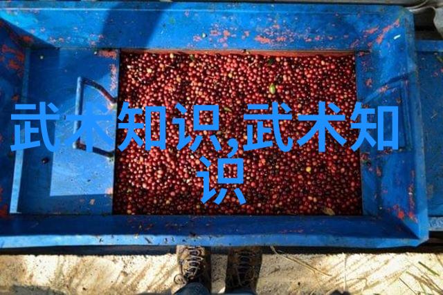 心法修炼内在力量的培养与实践