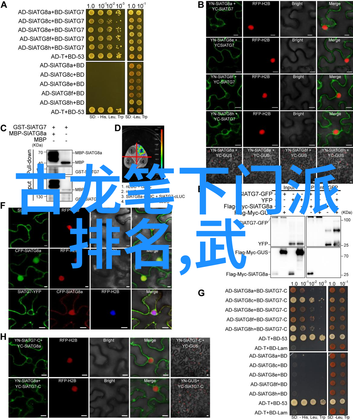 从太极经到九阴真经古代这些武功秘籍有何共同之处