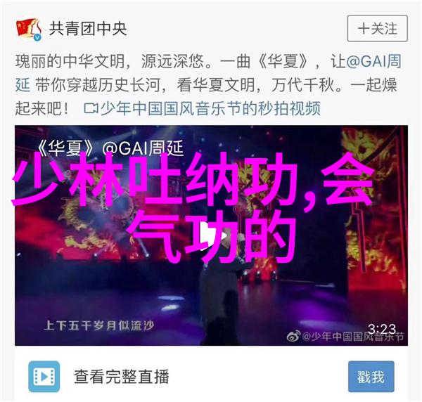 武林门派掌门之谜探寻江湖中最高决策者
