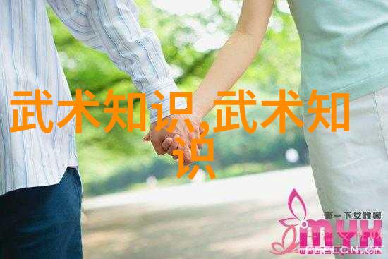 探索武术之道揭秘传统技巧与现代演化
