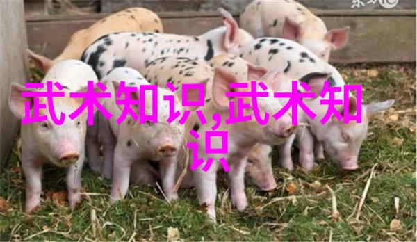 传说中的九阴真经究竟包含了哪些高级武学技巧