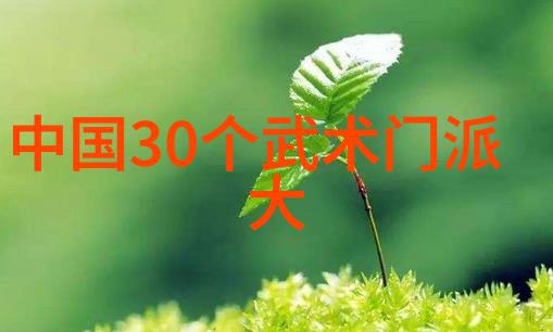武林16大门派成员名单程派高式八卦掌在社会的舞台上绽放光芒