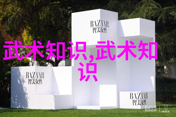 全球十大帮派崆峒派的武术传奇