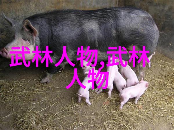 中国传统武术拳法太极拳的连续弓步进步乃是练习者心之所向意之所在亦是体魄双全精神大悦的绝佳途径