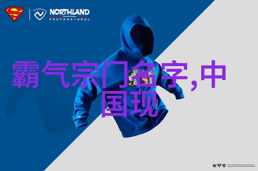门派拳种铁伞门