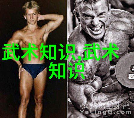 2017世界女排大奖赛总决赛中国女排遇挑战社会关注排球少年成长的同时也暴露五大弊端