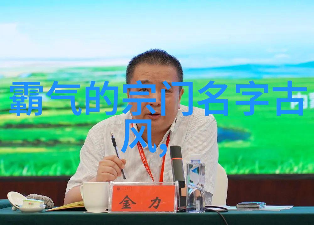 云岭帮地术拳